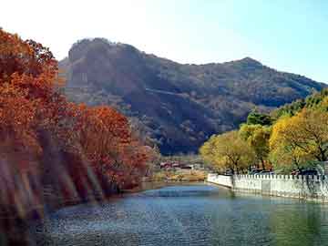 新澳天天开奖资料大全旅游团，生日拼图